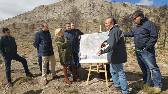 Medio Ambiente concluye los trabajos de emergencia en las zonas afectadas por los incendios del verano pasado - 2, Foto 2
