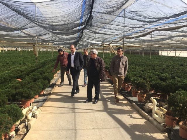 En la Región se cultivan cerca de 200 hectáreas de flor cortada y plantas ornamentales que generan más de 65 millones de euros anuales - 1, Foto 1