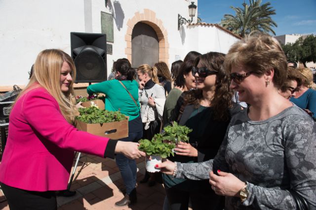 Ayuntamiento y colectivos de mujeres manifiestan la necesidad de seguir trabajando por la igualdad - 2, Foto 2