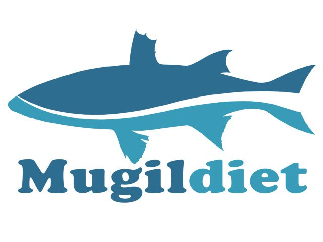 La UMU y la Universidad de Cádiz coordinan un proyecto para diseñar nuevas dietas blandas para lisas - 1, Foto 1