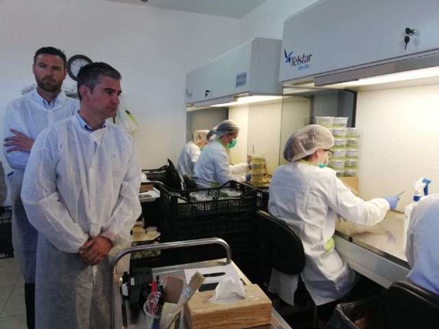El consejero de Agua, Agricultura, Ganadería y Pesca visita una empresa de biotecnología vegetal en Caravaca de la Cruz - 1, Foto 1