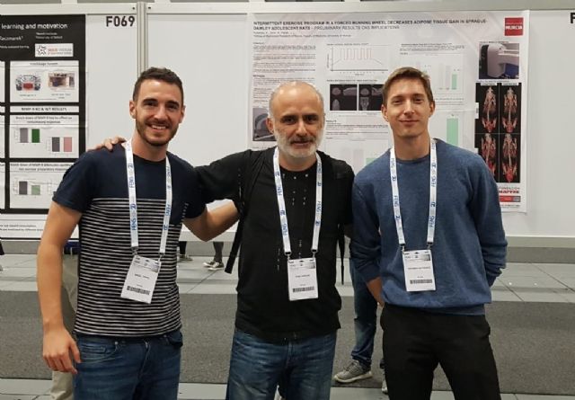 Investigadores UMU examinan los mecanismos que gestiona nuestro cerebro durante la actividad física - 1, Foto 1