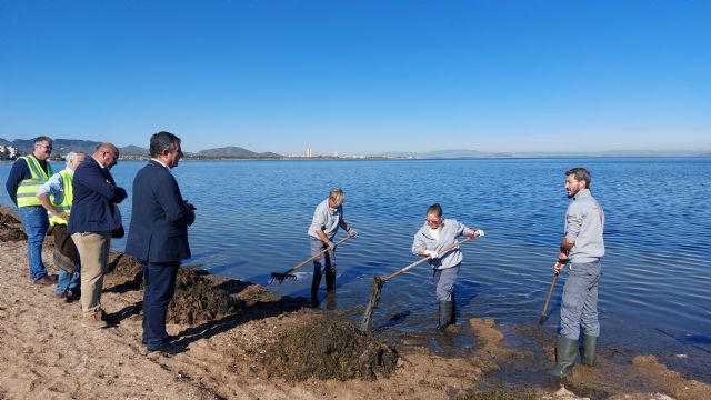 El Gobierno regional invertirá casi 8,5 millones de euros en retirar biomasa y ova del Mar Menor entre abril y septiembre - 1, Foto 1