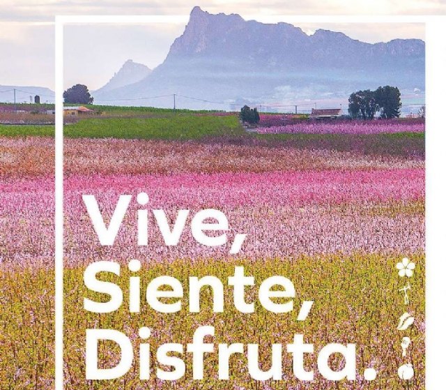 La programación municipal de Floración 2024 culmina este fin de semana con una apretada agenda - 1, Foto 1