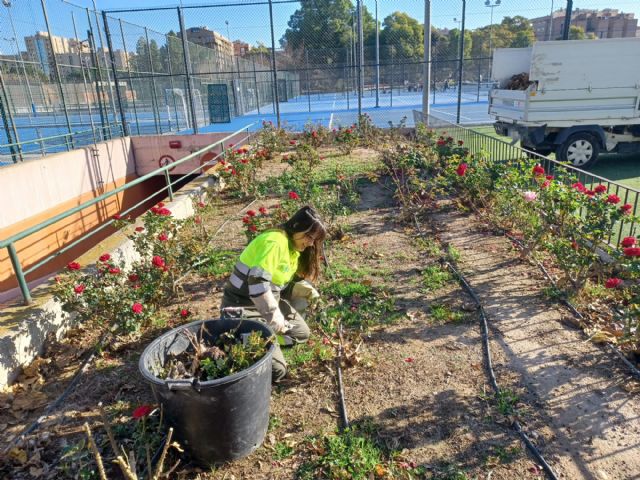 El Ayuntamiento concluye la poda de más de 10.000 rosales para facilitar su floración en primavera - 1, Foto 1