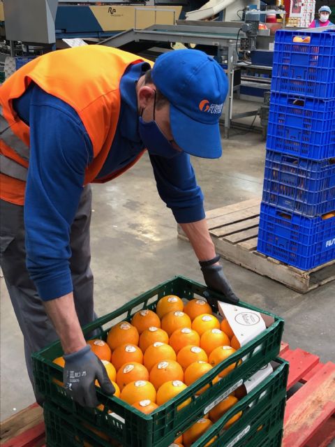 En tiempos del Coronavirus – COVID19, las empresas de IGP “Cítricos Valencianos” continúan garantizando suministro y calidad a los consumidores - 1, Foto 1