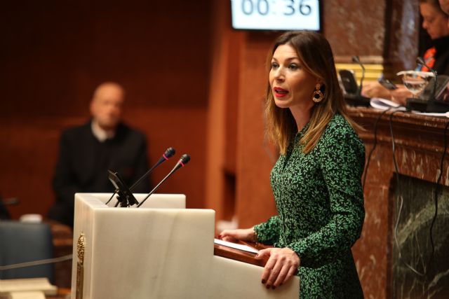 Ruiz Jódar: El PSOE tiene que dejar de ser el obstáculo que impide controlar al Gobierno regional en la Asamblea ante el coronavirus - 1, Foto 1