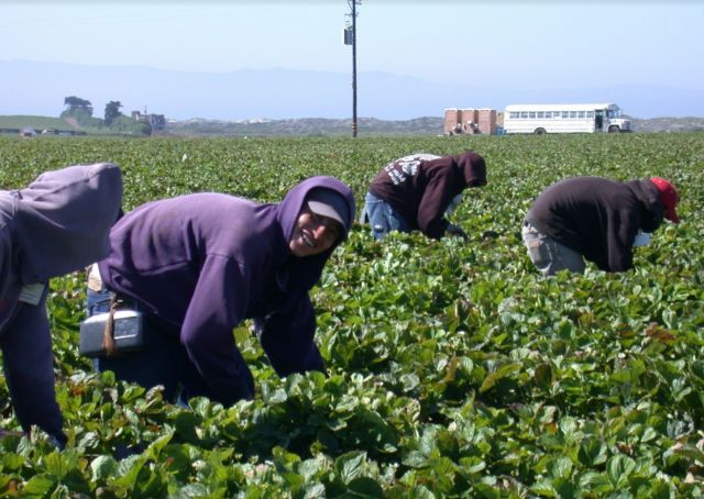Unión de Uniones pide extremar precauciones para evitar contraer COVID-19 a los agricultores y sus trabajadores - 1, Foto 1
