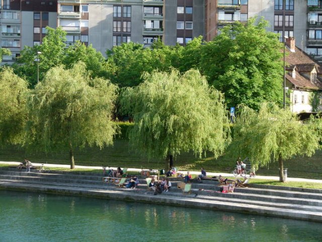 La FAO y Arbor Day Foundation reconocen a Cieza como Tree Cities of The World - 1, Foto 1