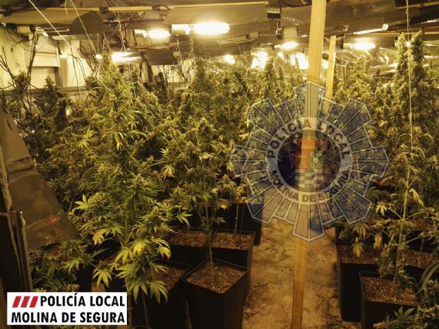 La Policía Local de Molina de Segura descubre una plantación de marihuana oculta en una nave - 1, Foto 1