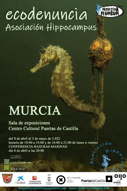 El Centro Cultural Puertas de Castilla muestra 'Ecodenuncia', de la Asociación Hippocampus - 1, Foto 1