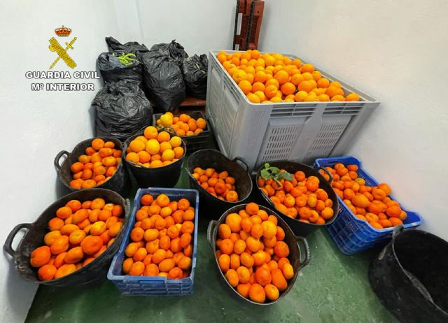 La Guardia Civil desarticula en Murcia un grupo delictivo dedicado a la sustracción de productos del campo - 1, Foto 1