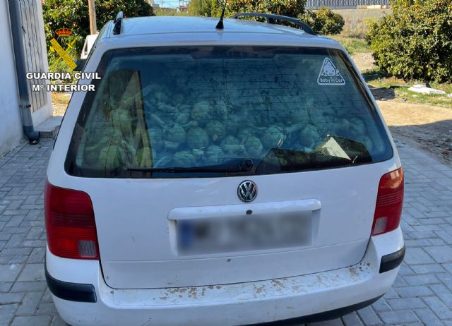 La Guardia Civil desarticula en Murcia un grupo delictivo dedicado a la sustracción de productos del campo - 2, Foto 2