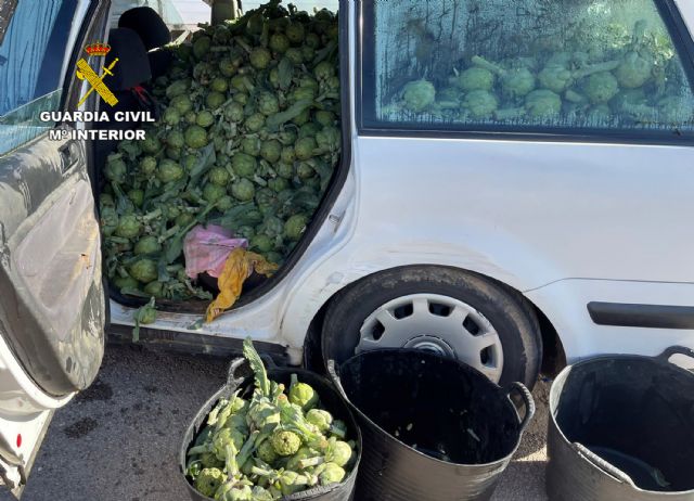 La Guardia Civil desarticula en Murcia un grupo delictivo dedicado a la sustracción de productos del campo - 3, Foto 3