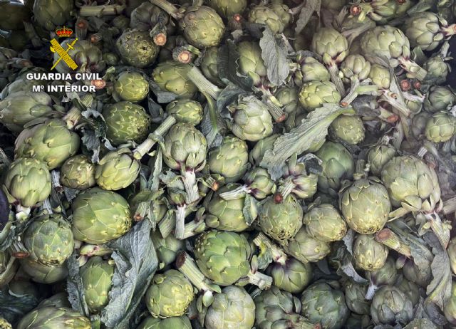 La Guardia Civil desarticula en Murcia un grupo delictivo dedicado a la sustracción de productos del campo - 4, Foto 4