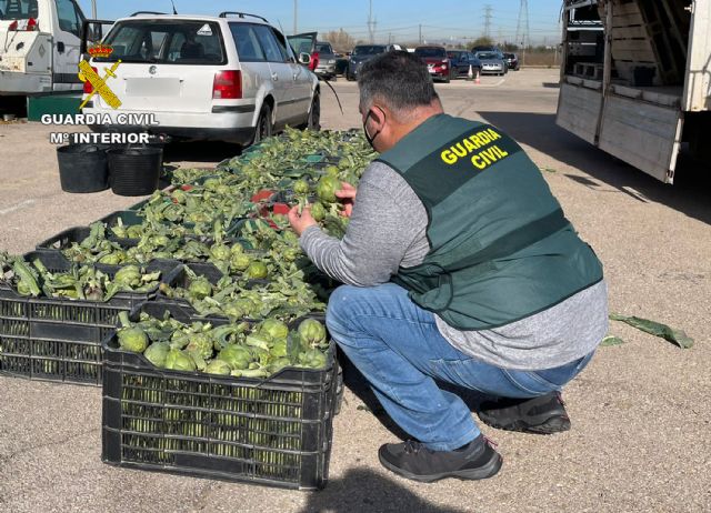 La Guardia Civil desarticula en Murcia un grupo delictivo dedicado a la sustracción de productos del campo - 5, Foto 5