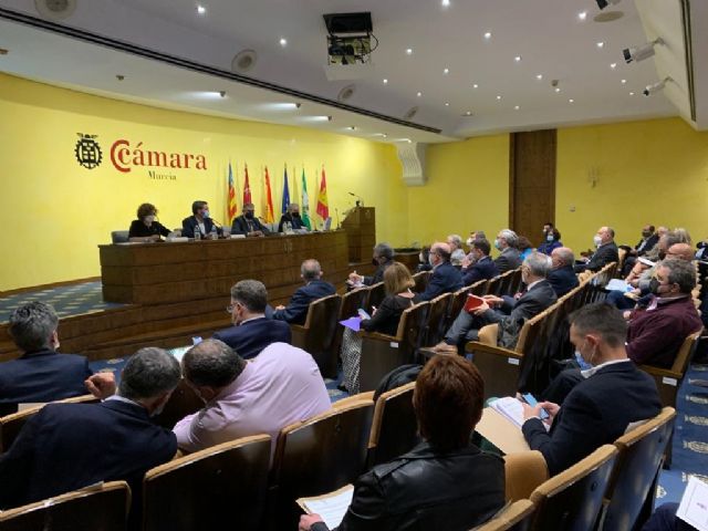 La Comunidad se opone a la Planificación del Segura planteada por el Ministerio porque no resuelve las necesidades hídricas de la Región - 1, Foto 1