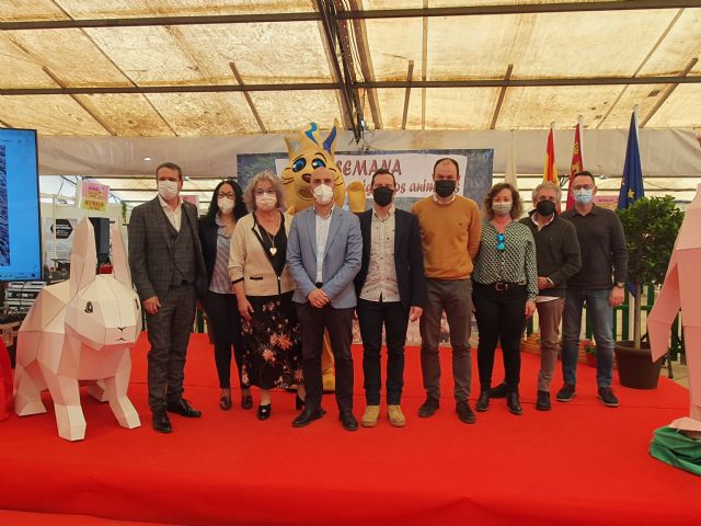 Molina de Segura contará con un nuevo Centro de Protección y Bienestar Animal en la zona donde se ubica el actual Centro Zoosanitario - 3, Foto 3