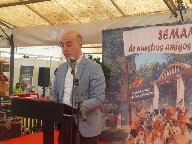 Molina de Segura contará con un nuevo Centro de Protección y Bienestar Animal en la zona donde se ubica el actual Centro Zoosanitario - 4, Foto 4