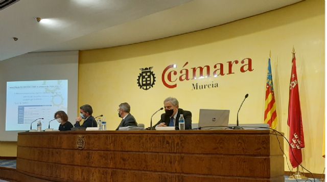 El Consejo del Agua de la Demarcación Hidrográfica del Segura informa favorablemente del proyecto de Plan Hidrológico del Segura - 1, Foto 1