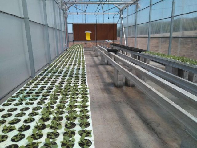 La industria de invernaderos integrada en FREMM promueve la marca Invernadero sostenible - 1, Foto 1