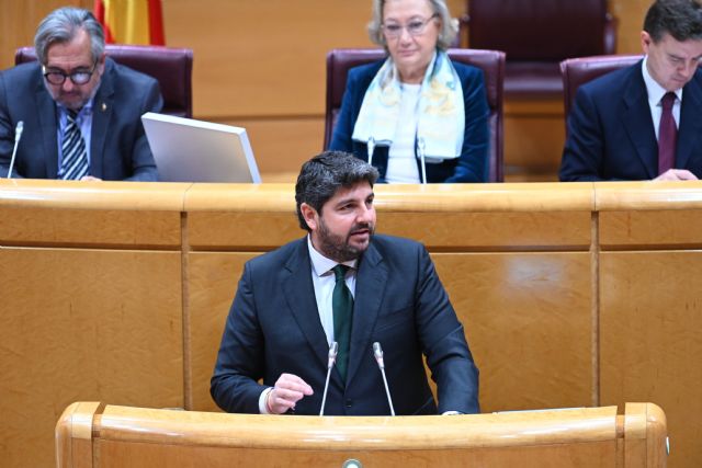 Fernando en el Senado: La amnistía es un traje a medida del independentismo - 1, Foto 1