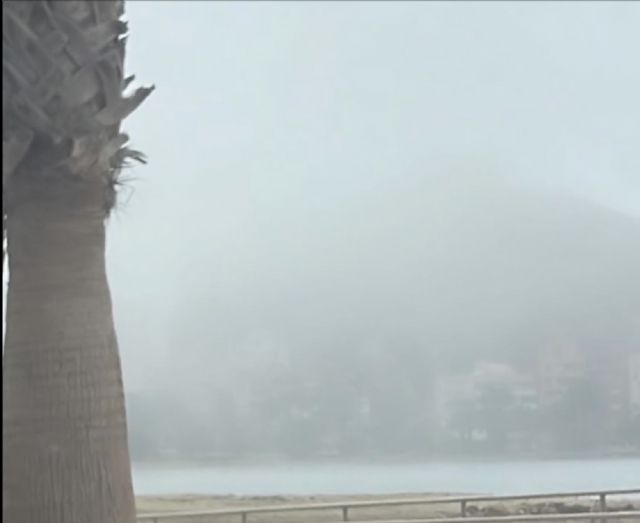 Reverte: Es alarmante que el Ejecutivo de Moreno ignore los avisos emitidos relativos a la mala calidad del aire por inclusión de polvo sahariano - 1, Foto 1