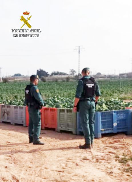 La Guardia Civil destapa un entramado delictivo dedicado a emplear a trabajadores extranjeros sin contrato en una finca agrícola de Cartagena - 2, Foto 2
