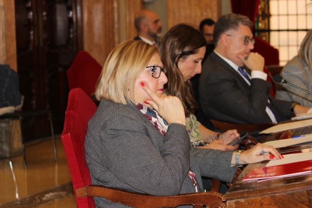 El Grupo Socialista propone la instalación de cambiadores inclusivos para garantizar la accesibilidad universal en Murcia - 1, Foto 1