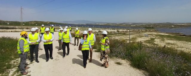 La Comunidad pide al Gobierno nacional que publique la planificaci�n de la red el�ctrica para desbloquear el desarrollo del Plan Industrial, Foto 2