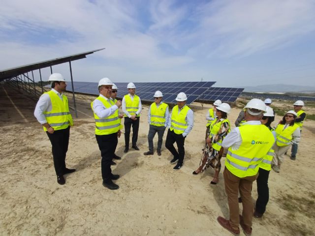 La Comunidad pide al Gobierno nacional que publique la planificaci�n de la red el�ctrica para desbloquear el desarrollo del Plan Industrial, Foto 3