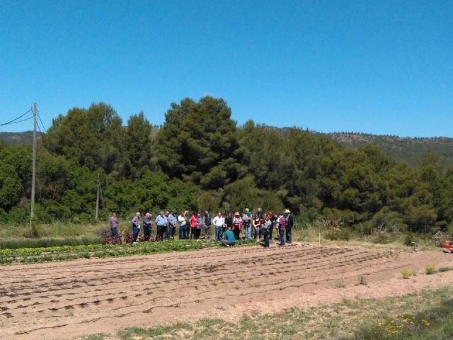 Treinta y cinco personas participaron en la primera de las actividades de ´Junio Verde´ en la visita a la Almajara del Sur y los Microhuertos Municipales - 1, Foto 1