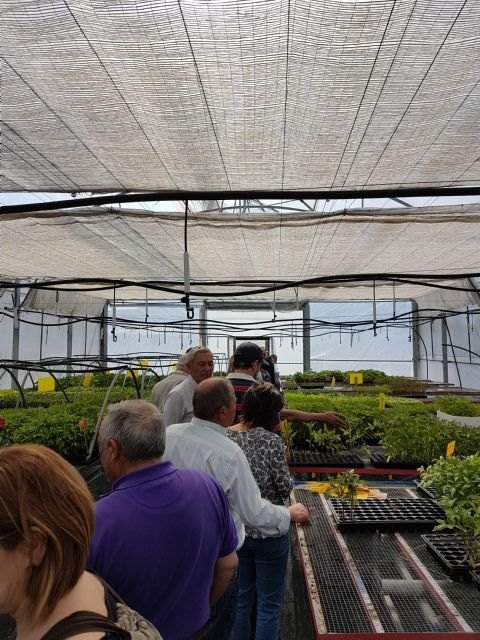 Treinta y cinco personas participaron en la primera de las actividades de ´Junio Verde´ en la visita a la Almajara del Sur y los Microhuertos Municipales - 2, Foto 2