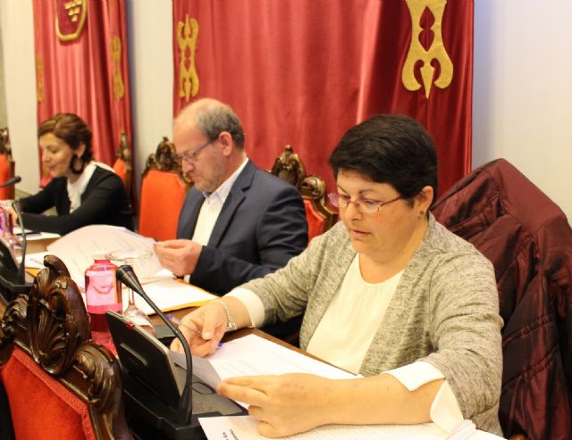 Cs Cartagena lamenta que el Gobierno local haya incumplido el plazo para convocar el Consejo Asesor de Turismo - 1, Foto 1