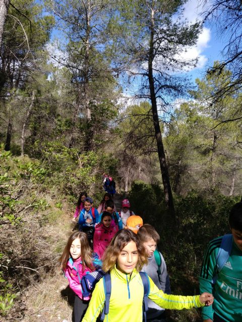 La ultima actividad del proyecto Cehegín y su entorno, acerca la naturaleza a los escolares de la localidad - 1, Foto 1