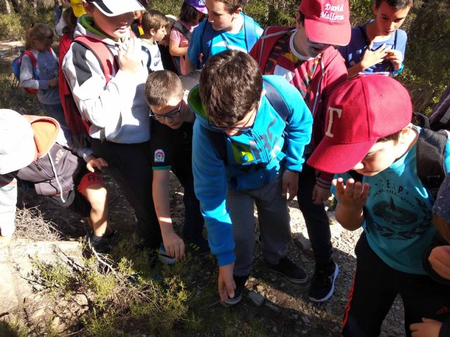 La ultima actividad del proyecto Cehegín y su entorno, acerca la naturaleza a los escolares de la localidad - 2, Foto 2