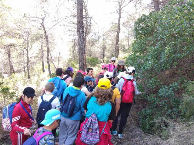 La ultima actividad del proyecto Cehegín y su entorno, acerca la naturaleza a los escolares de la localidad - 4, Foto 4