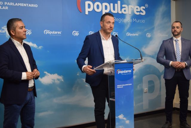 Valoración decreto ley de Mitigación del Impacto Socioeconómico del Covid 19 en el área de Medio Ambiente - 1, Foto 1