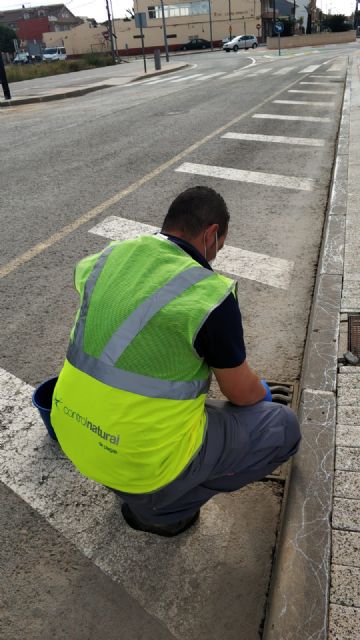 El Ayuntamiento realizará tratamientos antimosquito de gran alcance - 1, Foto 1