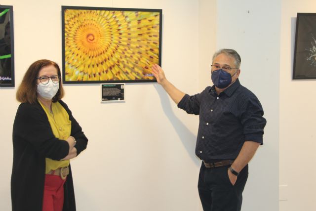 José Luis Alcaide desvela los colores del fondo del mar en fotografías subacuáticas del Mediterráneo y el Mar Menor - 1, Foto 1