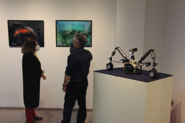 José Luis Alcaide desvela los colores del fondo del mar en fotografías subacuáticas del Mediterráneo y el Mar Menor - 2, Foto 2