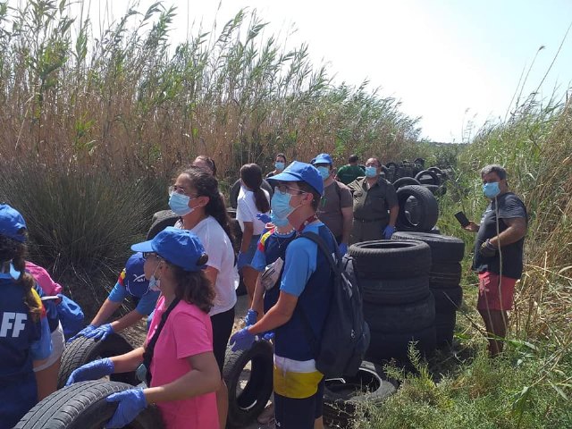 ¿Qué hacemos con los neumáticos? - 2, Foto 2