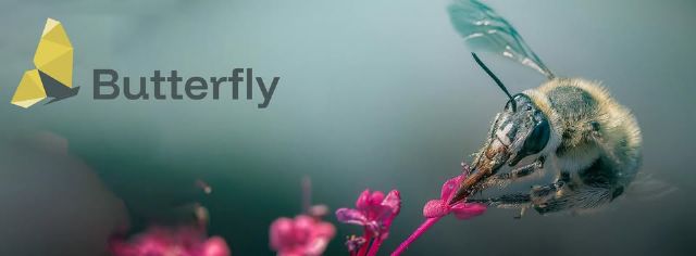 La UMU participará con un laboratorio 'vivo' en el proyecto BUTTERFLY para investigar la labor de los polinizadores - 1, Foto 1