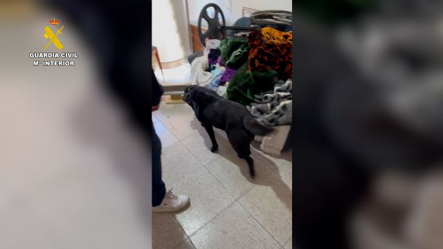 La Guardia Civil desmantela en Murcia un grupo delictivo que dirigía un activo punto de menudeo de droga - 2, Foto 2