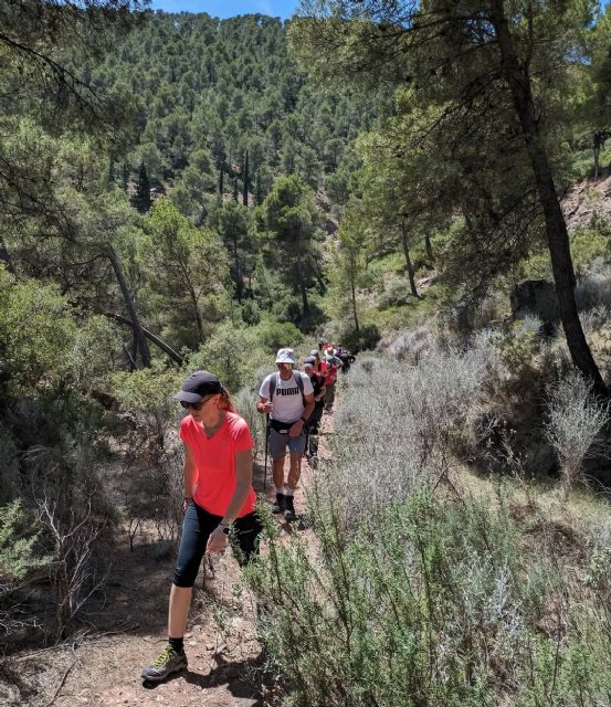 Las aves migratorias son las protagonistas este fin de semana en los Espacios Naturales de la Región - 1, Foto 1