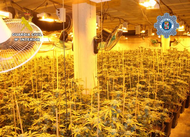 Desmantelado un invernadero de marihuana en un almacén de La Aljorra-Cartagena - 3, Foto 3