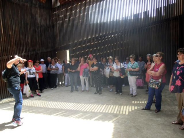 Más de un centenar de usuarios del programa municipal torreño de gerontogimnasia disfrutaron de un viaje a Huéscar - 3, Foto 3