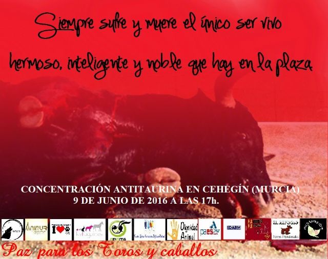 Colectivos y asociaciones animalistas convocan una concentración contra la corrida de toros organizada para festejar el Día de la Región de Murcia en Cehegín - 1, Foto 1