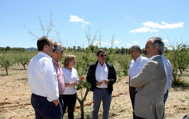 El PSOE pide ayudas en la Asamblea Regional para los afectados por los daños causados por la tormenta de granizo del pasado 4 de junio - 2, Foto 2