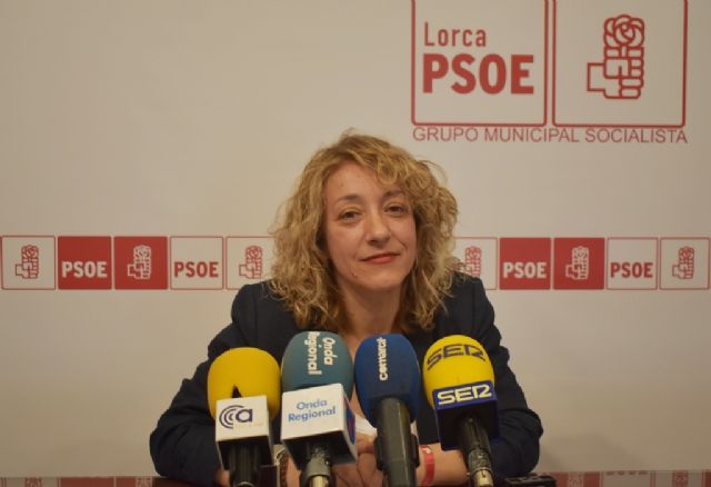 El PSOE reclama más zonas de sombra en colegios e institutos del municipio para combatir las altas temperaturas - 1, Foto 1